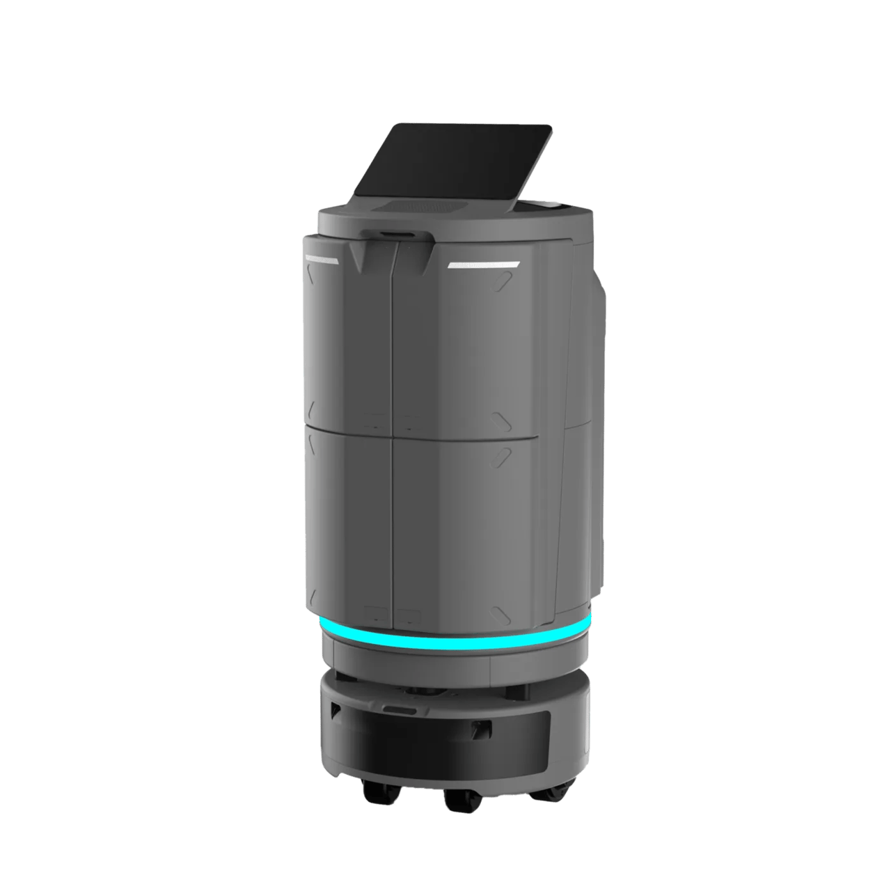 temi GO PRO — view 1