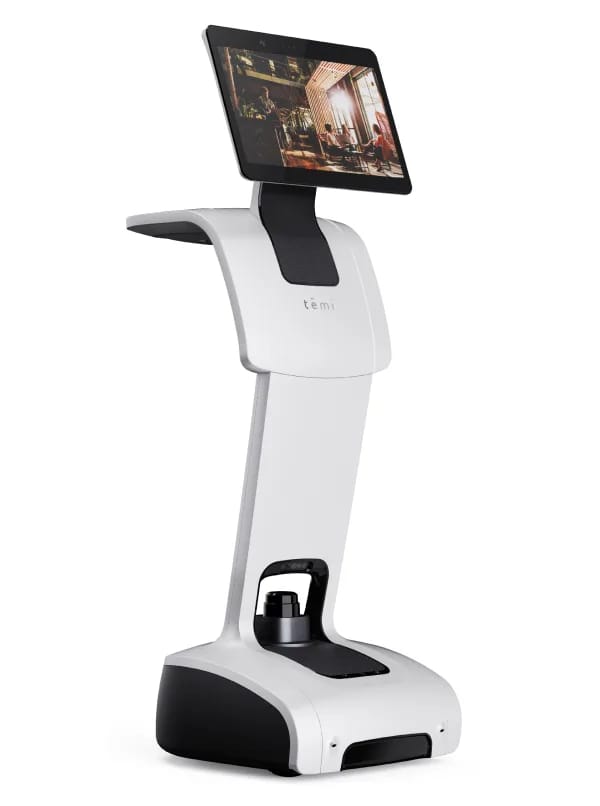 temi V3 — view 1